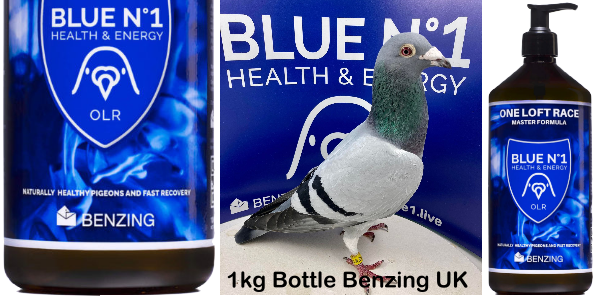 Blue No.1 Supplement